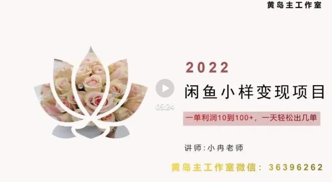 图片[1]-企业彩铃项目+闲鱼小样项目，利润每天200+轻轻松松，纯视频拆解玩法-人生海web技术分享