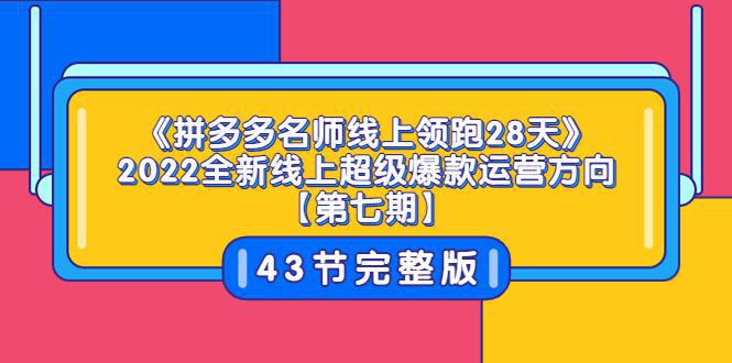 图片[1]-《拼多多名师线上领跑28天》2022全新线上超级爆款运营方向【第七期】43节课-人生海web技术分享