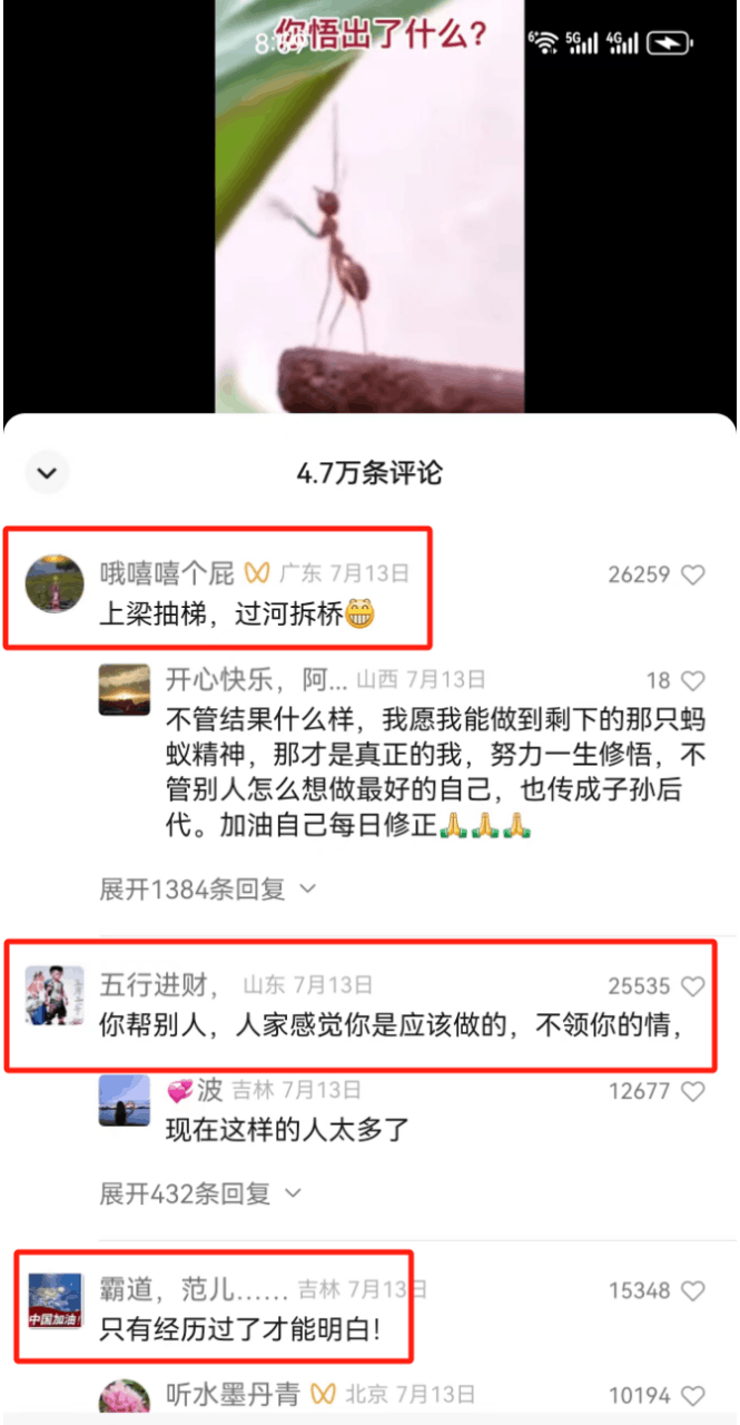 图片[6]-震撼！拍摄宠物、牛等动物视频，每月轻松上万收入-阿灿说钱