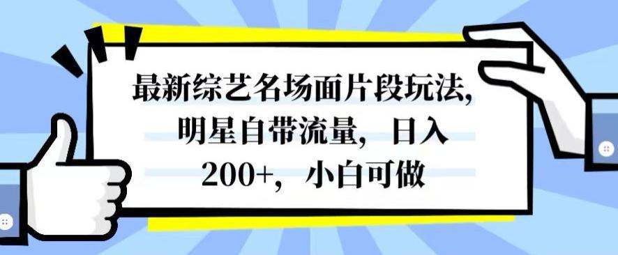 图片[1]-最新综艺名场面片段玩法，明星自带流量，日入200+，小白可做【揭秘】-阿灿说钱