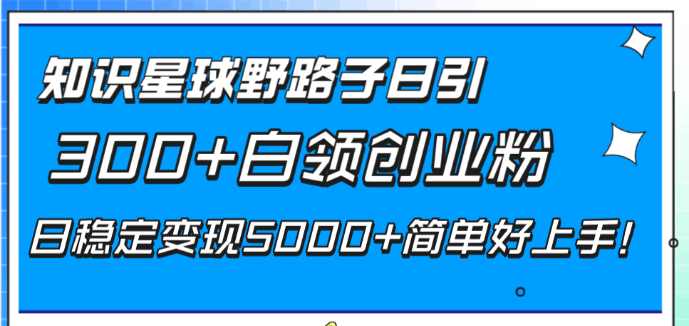 图片[1]-知识星球野路子日引300+白领创业粉，日稳定变现5000+简单好上手！-阿灿说钱