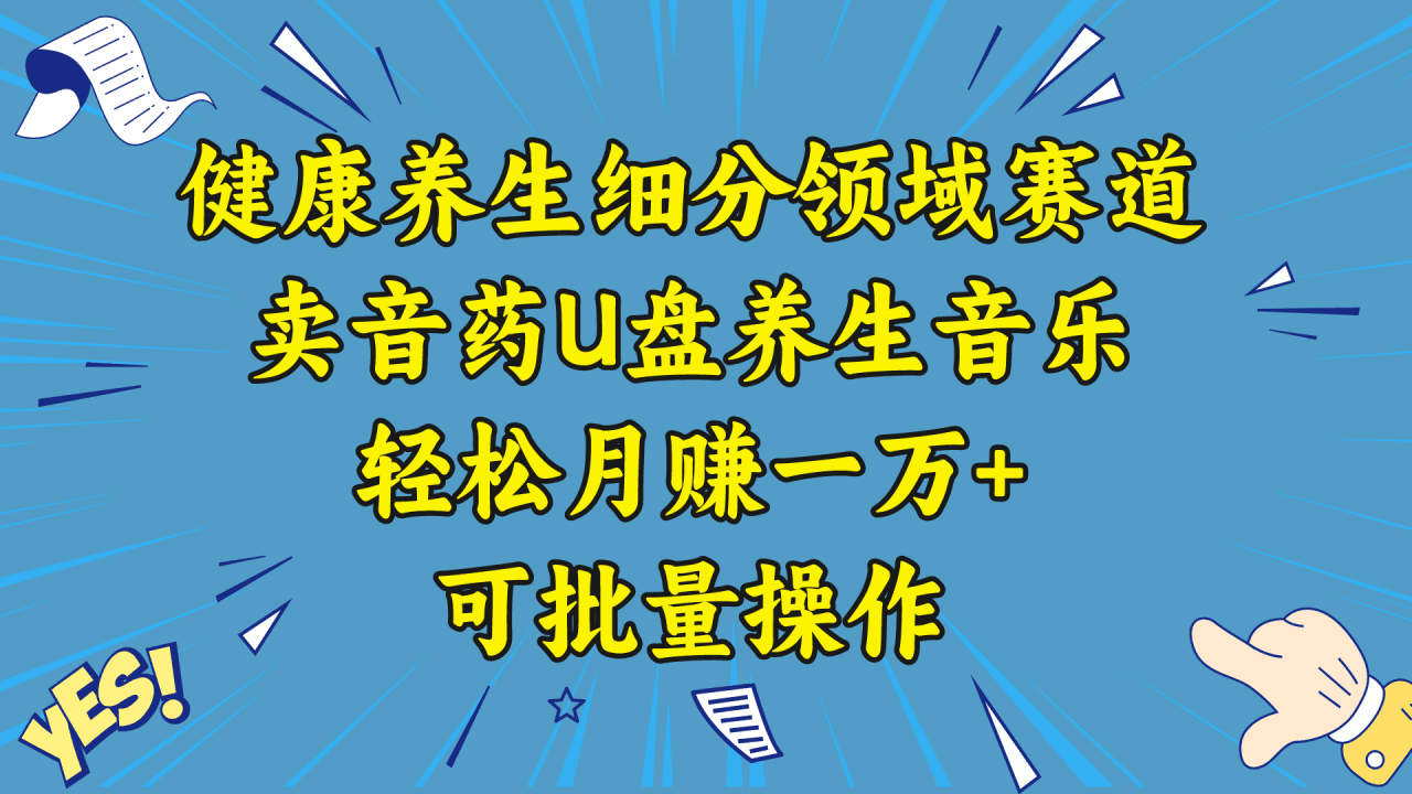 图片[1]-五行音乐养生：细分领域赛道卖音药U盘，打造轻松月赚一万+的健康养生项目-阿灿说钱