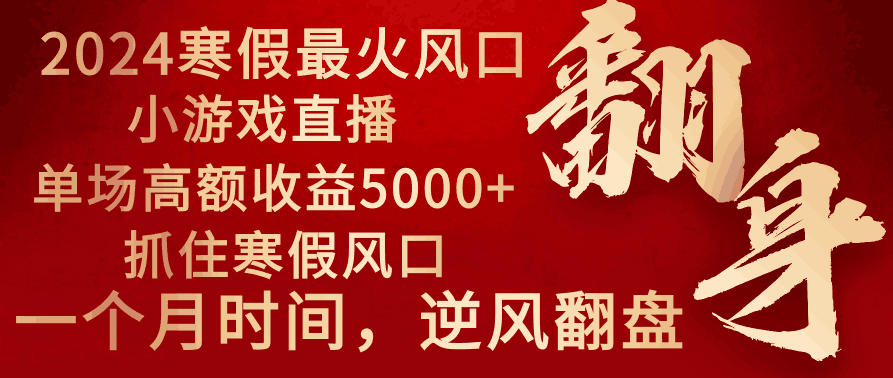 图片[1]-2024年最火寒假风口项目 小游戏直播 单场收益5000+抓住风口 一个月直接提车-阿灿说钱