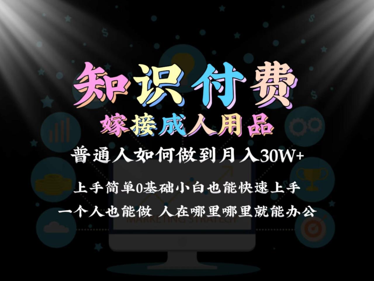 图片[1]-2024普通人做知识付费结合成人用品如何实现单月变现30w 保姆教学1.0-阿灿说钱