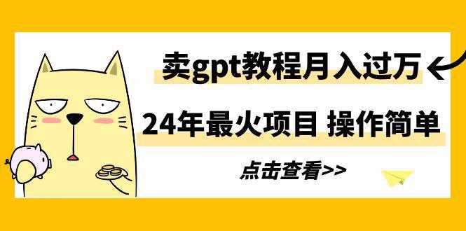 图片[1]-2024年最火项目，卖gpt教程月入过万，简单操作-阿灿说钱