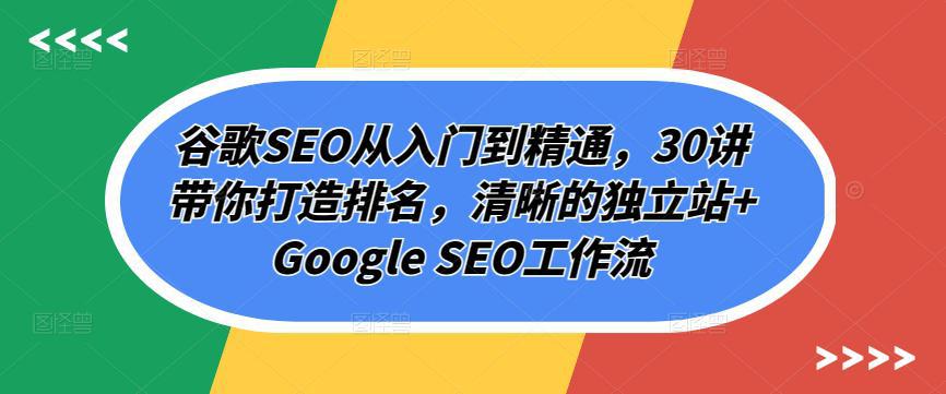 图片[1]-谷歌SEO课程：从入门到精通，30讲带你打造排名，清晰的独立站提升网站排名技巧全解析-阿灿说钱