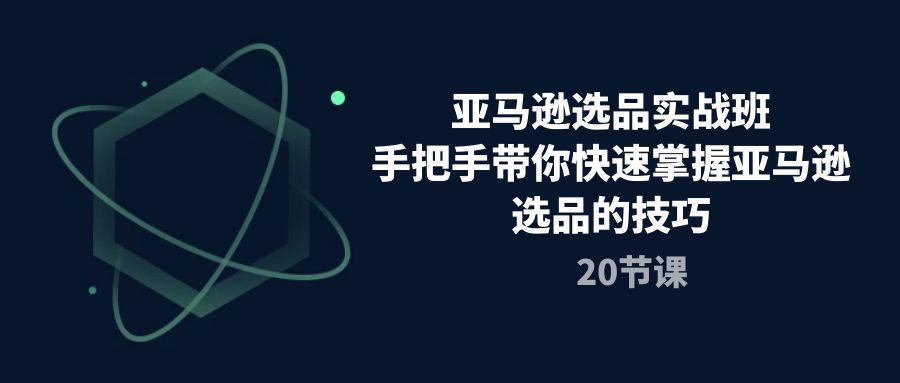 图片[1]-亚马逊选品实战课程，手把手带你快速轻松挖掘爆款产品（20节课）-阿灿说钱