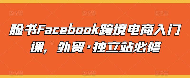 脸书FACEBOOK跨境电商入门课，外贸·独立站必修 -1