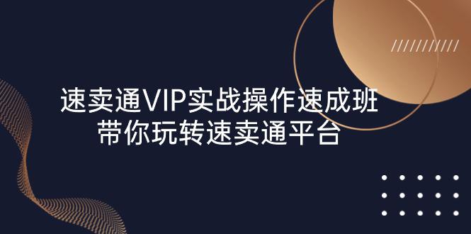 图片[1]-速卖通 VIP实战操作-速成班，带你玩转速卖通平台（23节）-阿灿说钱