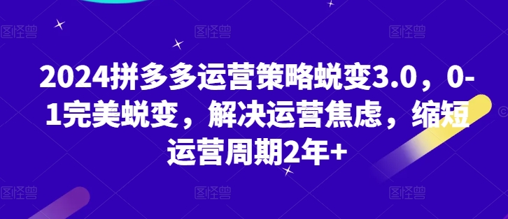 2024拼多多运营策略蜕变3.0，0-1完美蜕变，解决运营焦虑，缩短运营周期2年  -1