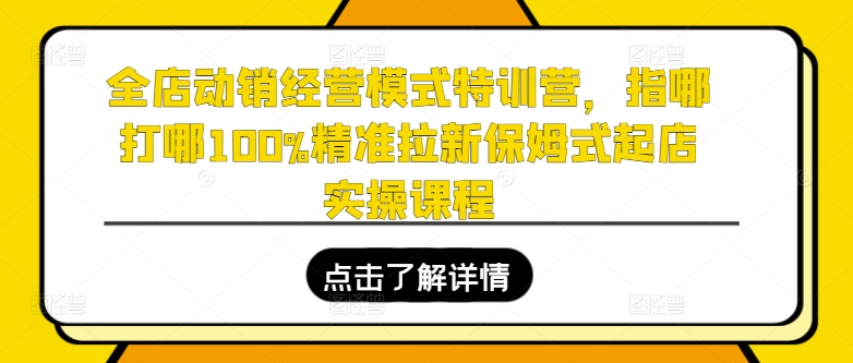 全店动销经营模式特训营，指哪打哪100%精准拉新保姆式起店实操课程 -1