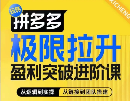 拼多多极限拉升盈利突破进阶课，​从算法到玩法，从玩法到团队搭建，体系化系统性帮助商家实现利润提升 -1