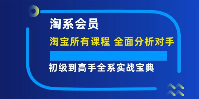 图片[1]-淘系会员【淘宝所有课程，全面分析对手】，初级到高手全系实战宝典-阿灿说钱