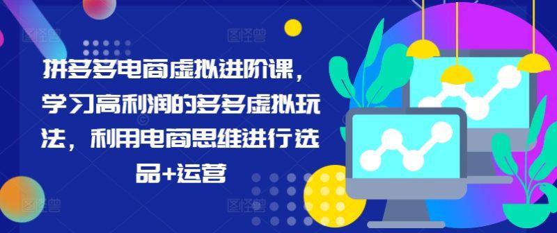 拼多多电商虚拟进阶课，学习高利润的多多虚拟玩法，利用电商思维进行选品+运营 -1