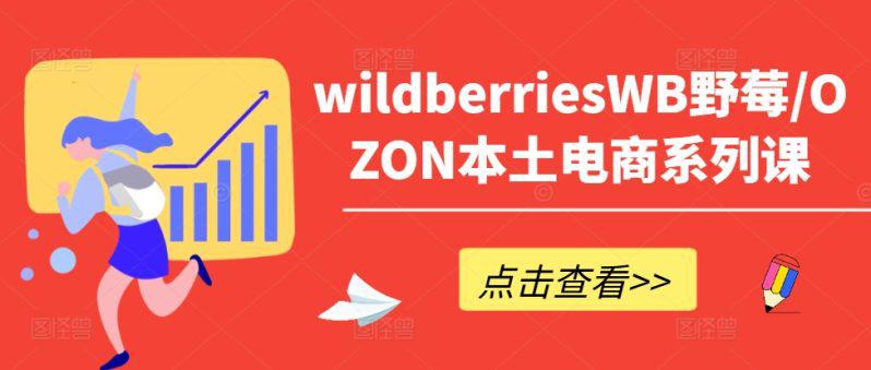 WILDBERRIESWB野莓/OZON本土电商系列课，掌握WB产品优化，出单技巧和订单处理等 -1