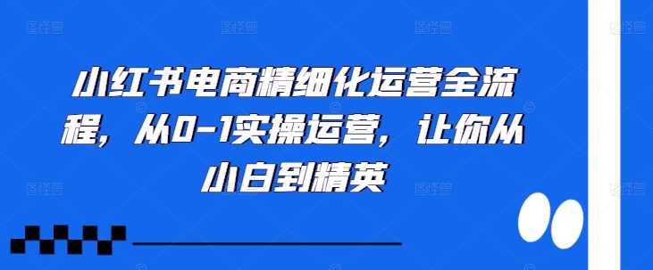 小红书电商精细化运营全流程，从0-1实操运营，让你从小白到精英 -1