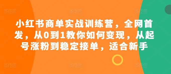 小红书商单实战训练营，全网首发，从0到1教你如何变现，从起号涨粉到稳定接单，适合新手 -1