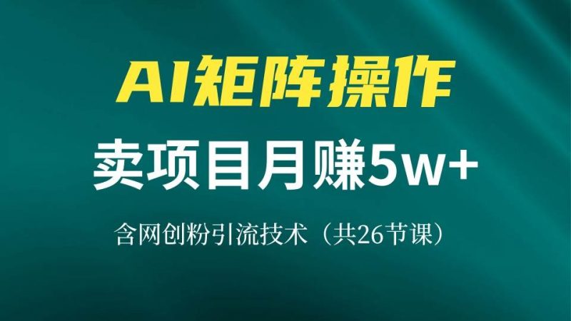 网创IP打造课，借助AI卖项目月赚5万+，含引流技术（共26节课） -1