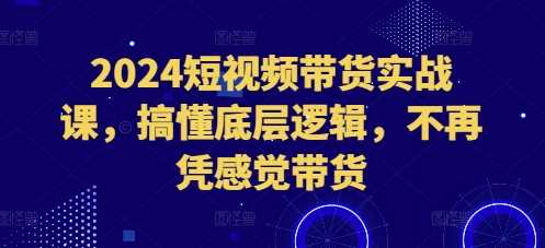 2024短视频带货实战课，搞懂底层逻辑，不再凭感觉带货 -1