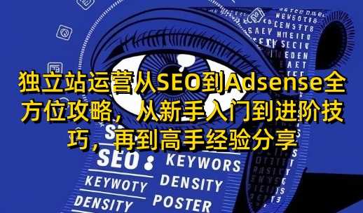 独立站运营从SEO到Adsense全方位攻略，从新手入门到进阶技巧，再到高手经验分享 -1