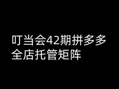 叮当会拼多多打爆班原创高阶技术第42期，拼多多全店托管矩阵 -1